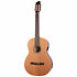Etude LH Clasica II RN droitier Godin