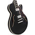 Premier SS Black Flake D'Angelico