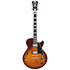 Premier SS Dark Iced Tea Burst D'Angelico