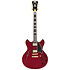 Excel DC Trans Cherry D'Angelico