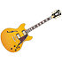 Excel DC Vintage Natural D'Angelico