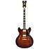 Excel DC Amaretto Burst D'Angelico