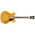 Excel DC Amber D'Angelico