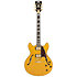 Excel DC Amber D'Angelico