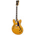 Excel DC Amber D'Angelico