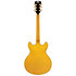 Excel DC Amber D'Angelico