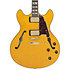 Excel DC Amber D'Angelico