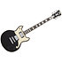 Premier Brighton Blake Flake D'Angelico