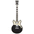 Premier Brighton Blake Flake D'Angelico