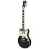 Premier Brighton Blake Flake D'Angelico