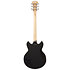 Premier Brighton Blake Flake D'Angelico