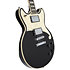 Premier Brighton Blake Flake D'Angelico