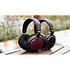 FT13 Bois de rose Fiio