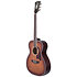Premier Tammany Caramel Burst D'Angelico