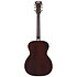 Premier Tammany Caramel Burst D'Angelico