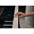 Privia PX-S7000 Black + Banquette Casio