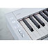 Privia PX-S7000 White + Banquette Casio