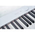 Privia PX-S7000 White + Banquette Casio