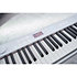 Privia PX-S7000 White + Banquette Casio