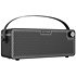 AP-30BK Pulze Eclipse Amplifier Hotone