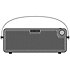 AP-30BK Pulze Eclipse Amplifier Hotone