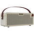 AP-30CR Pulze Luna Amplifier Hotone