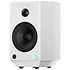 SP5 Blanc (la paire) Fiio