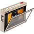 SK-M21-C Gold Fiio