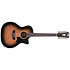 Premier Fulton Aged Burst 12 cordes D'Angelico