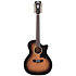 Premier Fulton Aged Burst 12 cordes D'Angelico