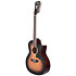 Premier Fulton Aged Burst 12 cordes D'Angelico