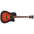 Premier Bowery LS Satin Vintage Sunburst D'Angelico