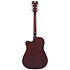 Premier Bowery LS Satin Vintage Sunburst D'Angelico