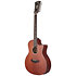 Premier Fulton LS Mahogany Satin 12 cordes D'Angelico