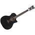 Premier Fulton LS Matte Black 12 cordes D'Angelico