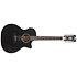 Premier Fulton LS Matte Black 12 cordes D'Angelico