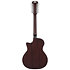 Premier Fulton LS Matte Black 12 cordes D'Angelico