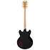 Deluxe Brighton Solid Black D'Angelico