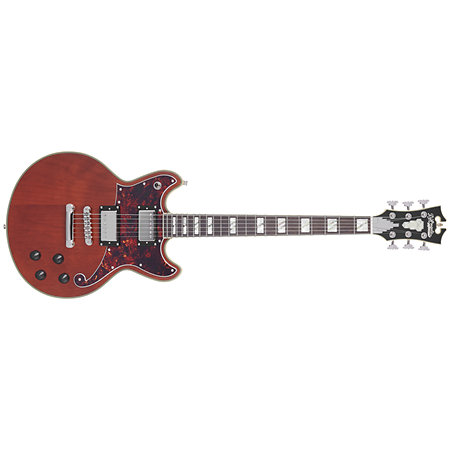 Deluxe Brighton Matte Walnut D'Angelico