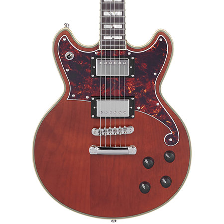 Deluxe Brighton Matte Walnut D'Angelico