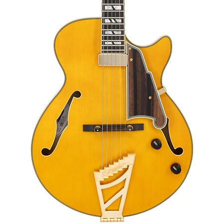 Excel SS Soho Amber D'Angelico