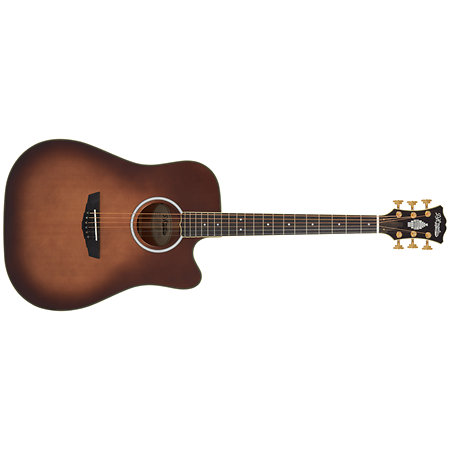 Excel Bowery Autumn Burst D'Angelico