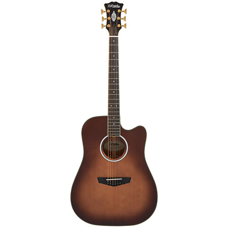 Excel Bowery Autumn Burst D'Angelico