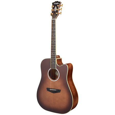 Excel Bowery Autumn Burst D'Angelico