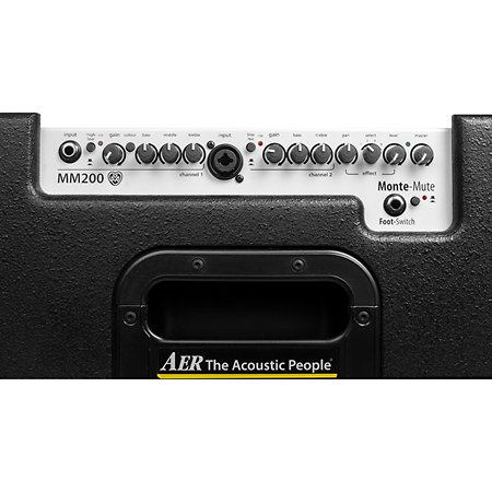 AER MM 200 Monte Montgomery