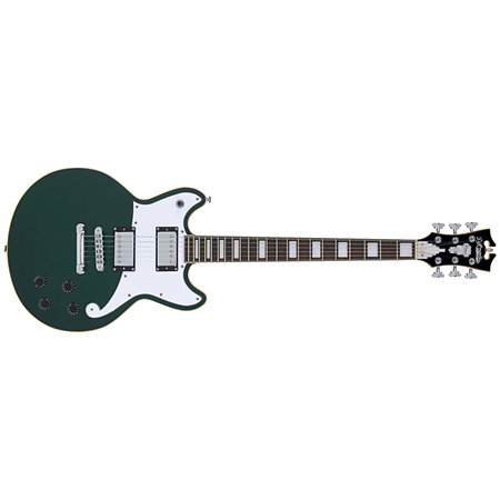 D'Angelico Premier Brighton Sherwood Green