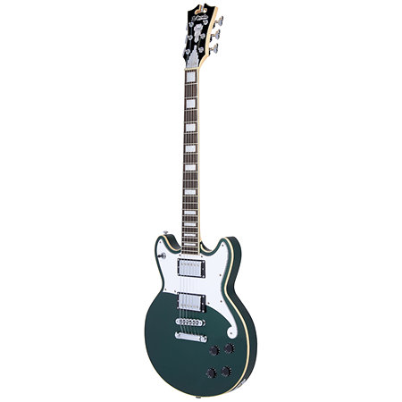 Premier Brighton Sherwood Green D'Angelico