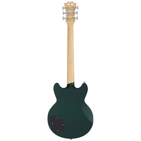 Premier Brighton Sherwood Green D'Angelico