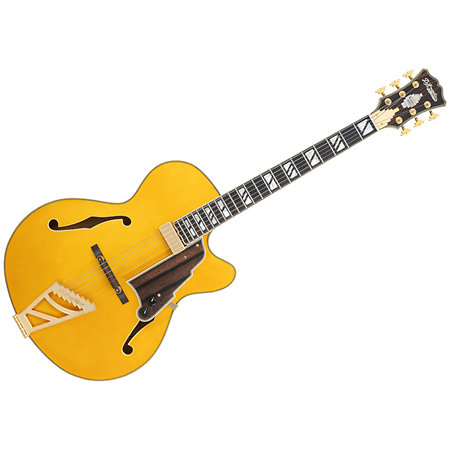 Excel 16 Amber D'Angelico