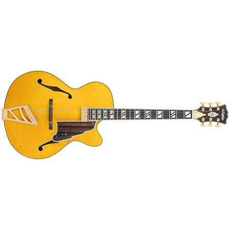 Excel 16 Amber D'Angelico